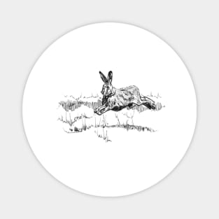 Hare Ink Drawing Magnet